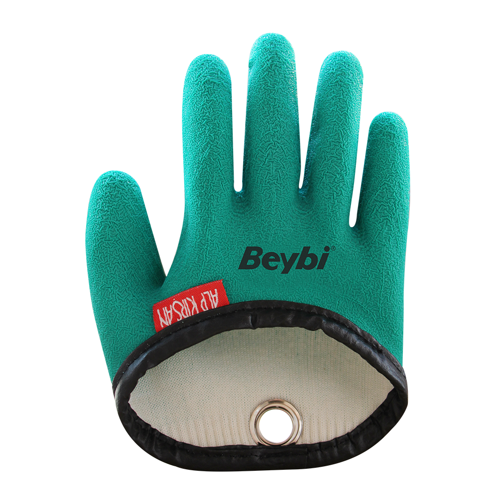 Beybi A.L.P Kırşan - sağ